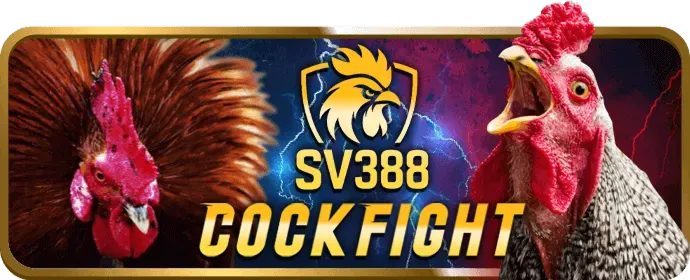 Thưởng VIP DWIN68